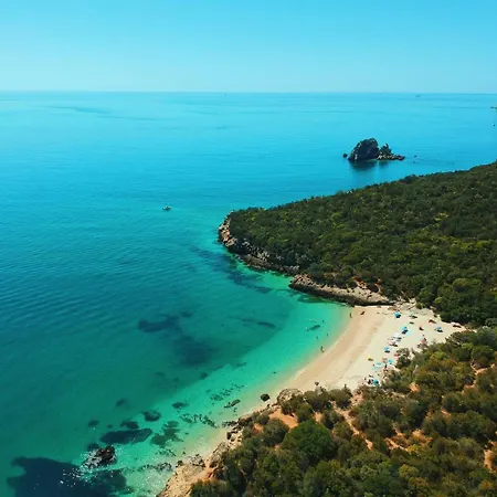 Arrabida Pine Flat 아파트 *